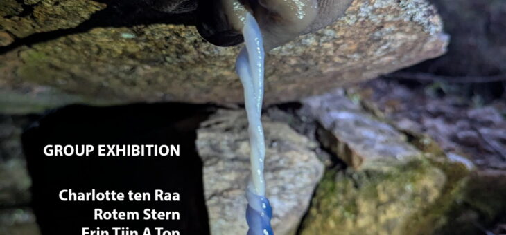 Sat Sept 26 3:00pm-8:00pm exposition “IN SIDE OUT” during Silophonesession
